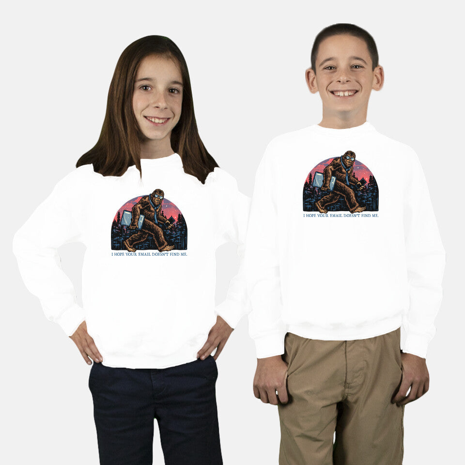 Email Doesn’t Find Me