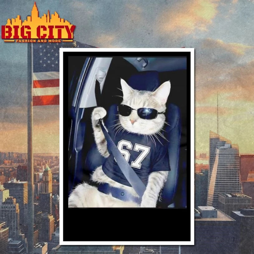 67 Cat Wearing Sunglasses Gen Alpha shirt