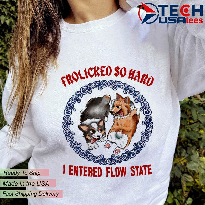 Corgi frolicred so hard I entered flow state shirt
