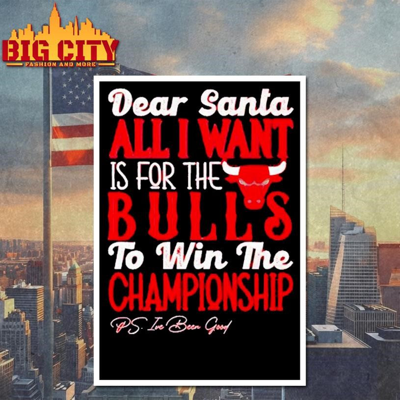 Dear Santa all I want is for the Chicago Bulls to win the Championship Shirt