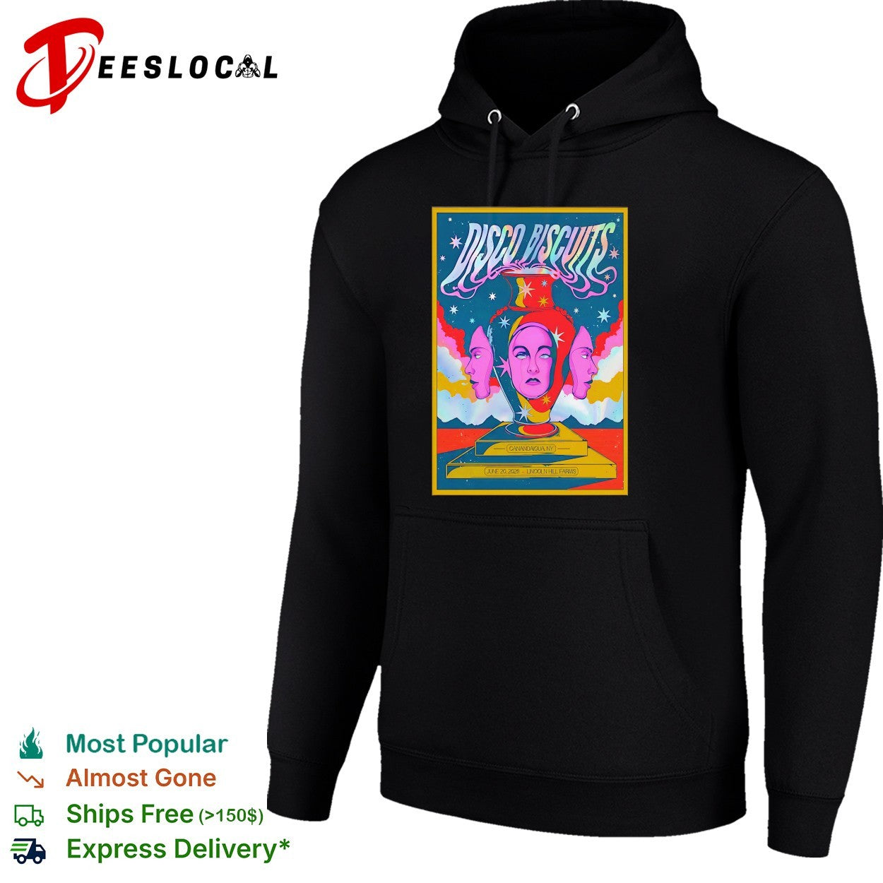 Disco Biscuits Canandaigua New York 2026 poster shirt
