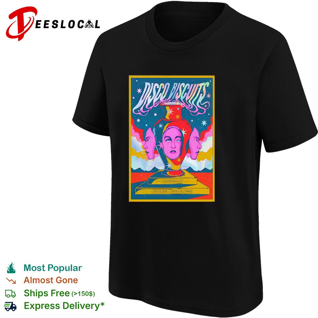 Disco Biscuits Canandaigua New York 2026 poster shirt