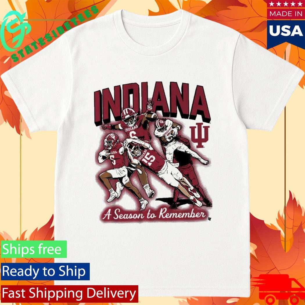 Fernando Mendoza Touchdowns A Season To Remember T-Shirt
