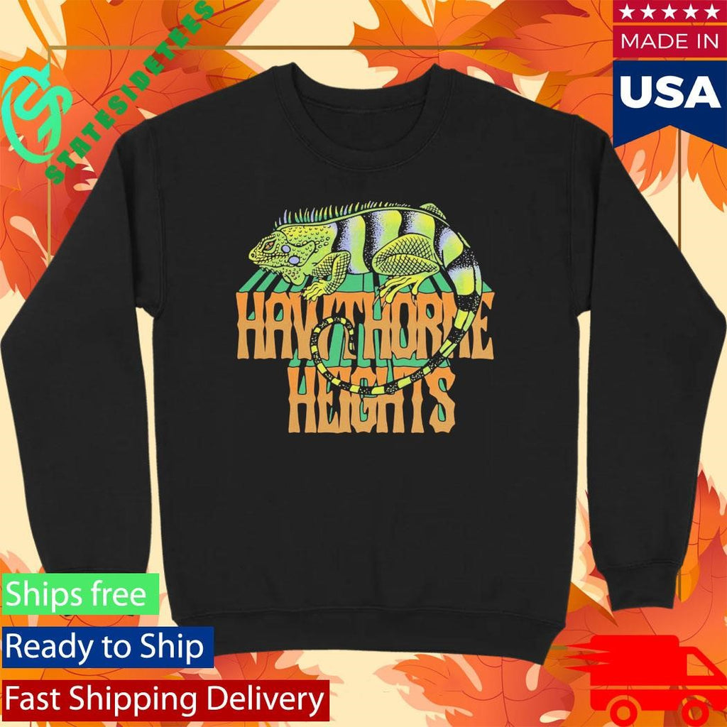 Hawthorne Heights Strange Places Tour Shirt