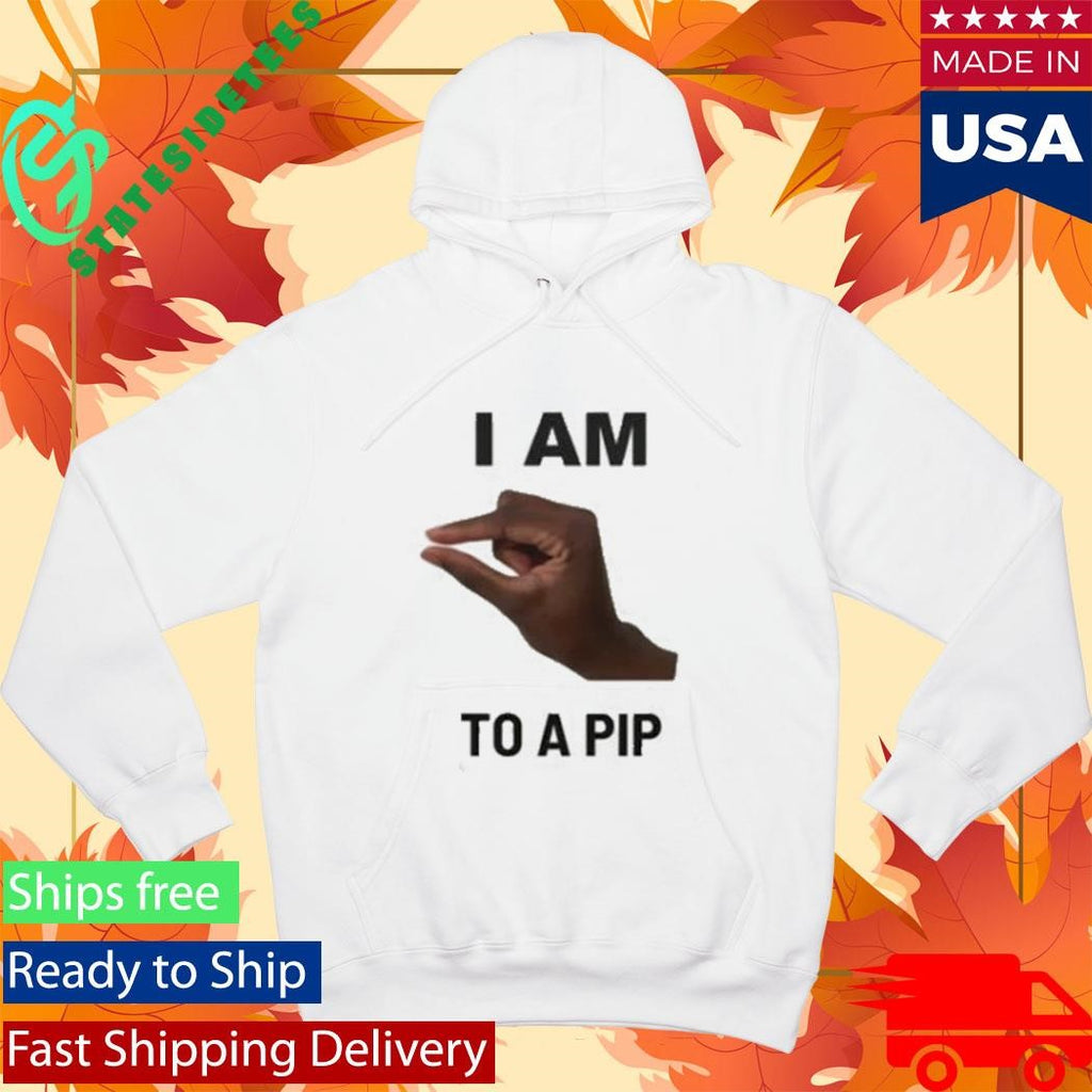 I Am This Close To A Pip Shirt