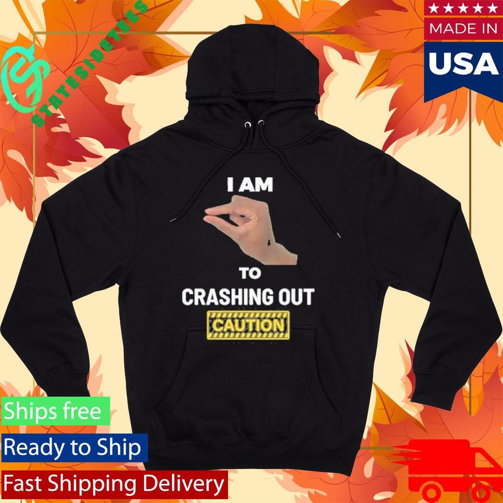 I Am This Close To Crashing Out V1 Shirt