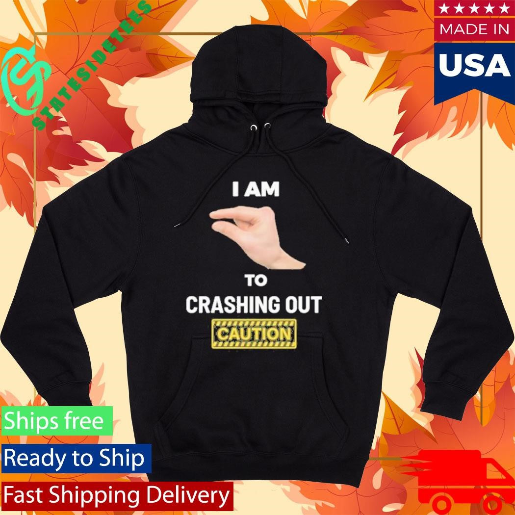 I Am This Close To Crashing Out V2 Shirt