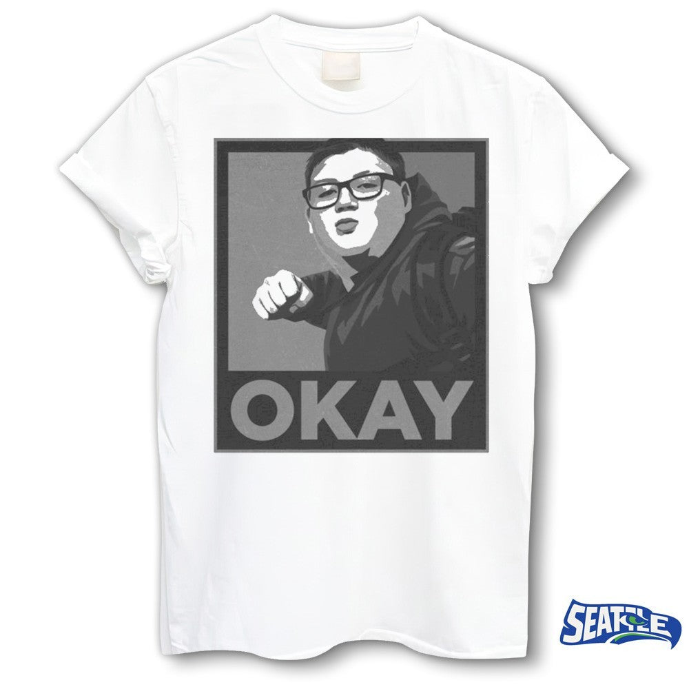Illinois Punching Nazis Kid OKAY – Best Funny 2026 Black and White shirt