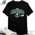 Illinois Wesleyan Titans Champions Men’s Basketball 2026 CCIW Tournament T-shirts