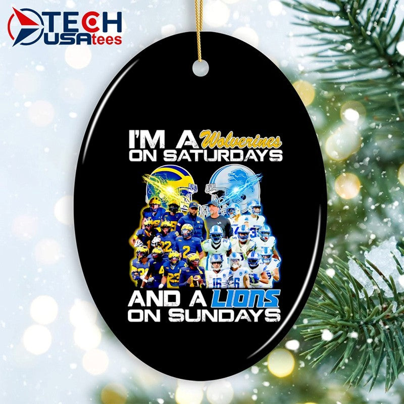 I’m a Wolverines on Saturdays and a Lions on Sundays graphic shirt