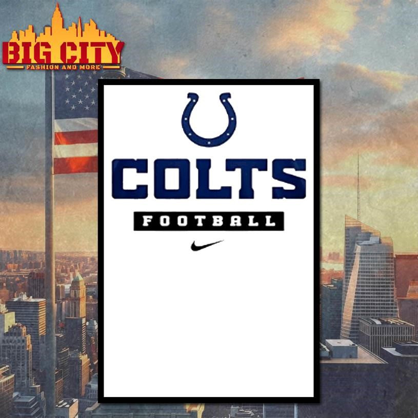 Indianapolis Colts X This Silly Goose Football Shirt