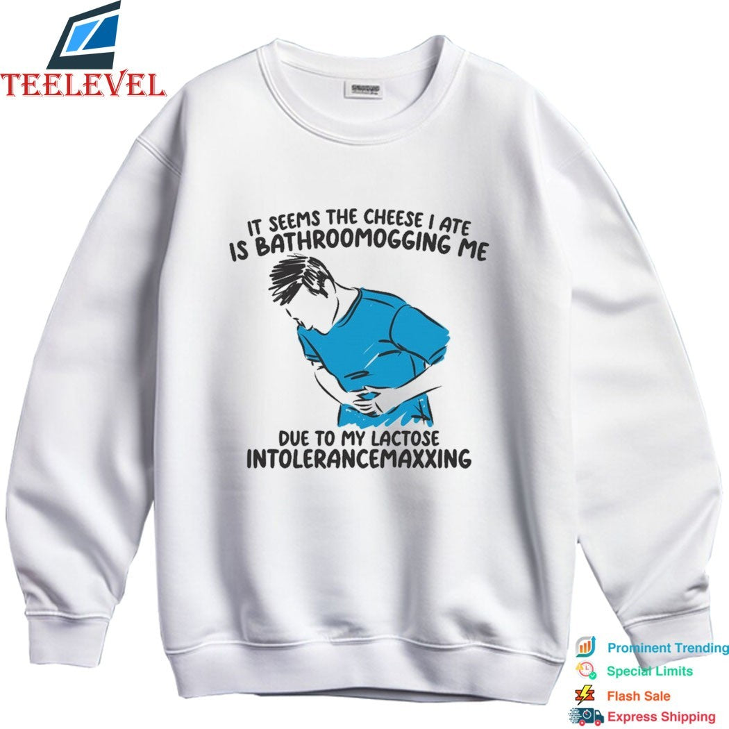 It Seems The Cheese I Ate Is Bathroomogging Me Due To My Lactose Intolerancemaxxing T-shirts