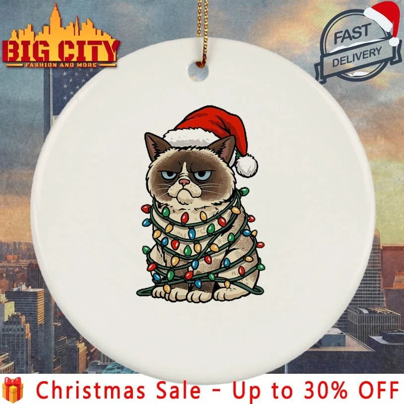 Jolly Christmas Cat Santa Hat and light christmas shirt
