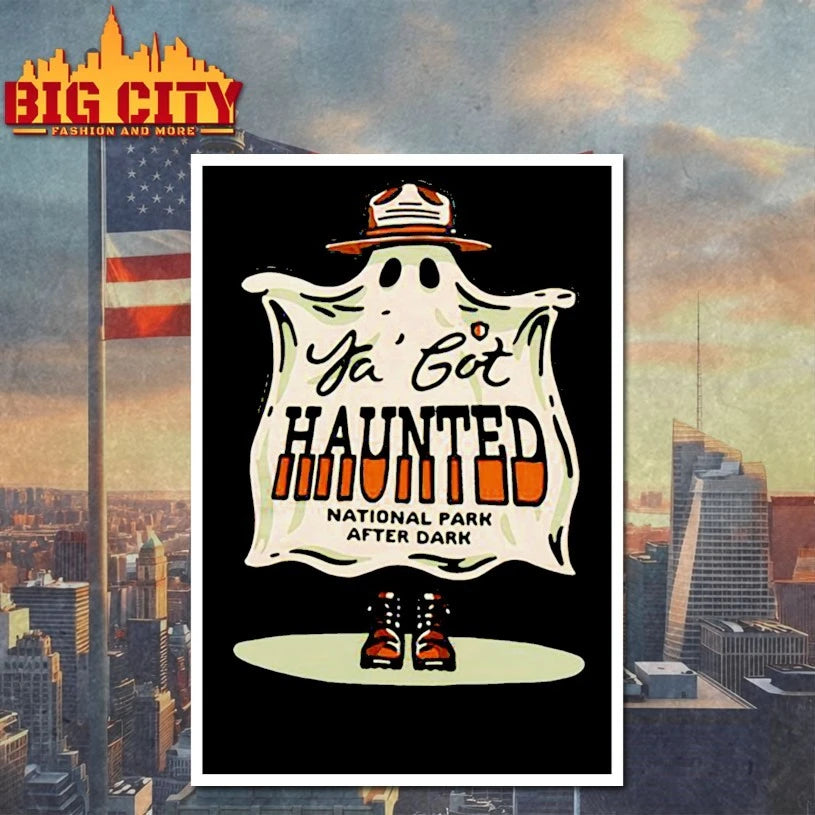 National Park After Dark Haunted shirt