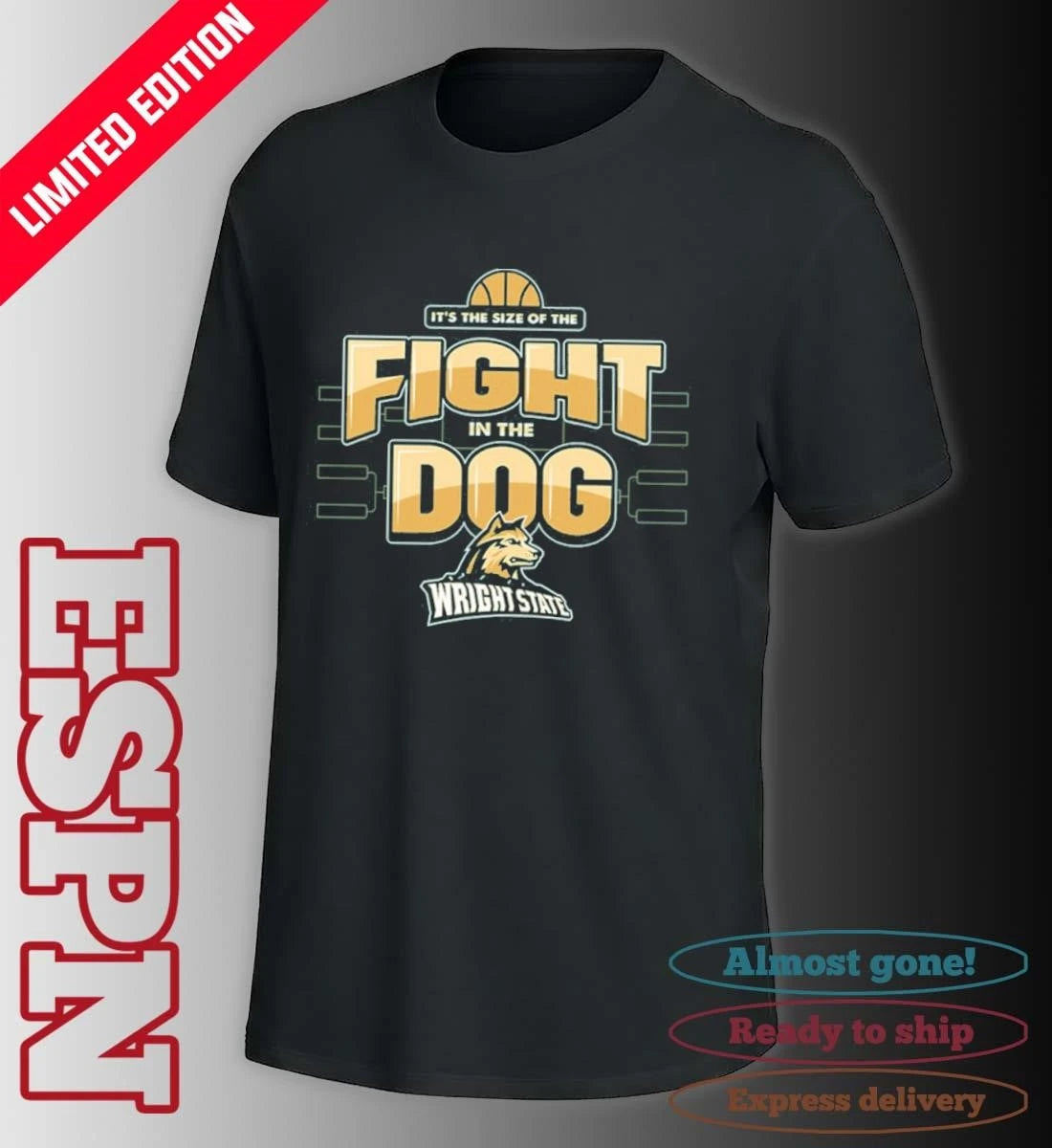 Official Fight in the Dog Wright State University Basketball March Madness shirt