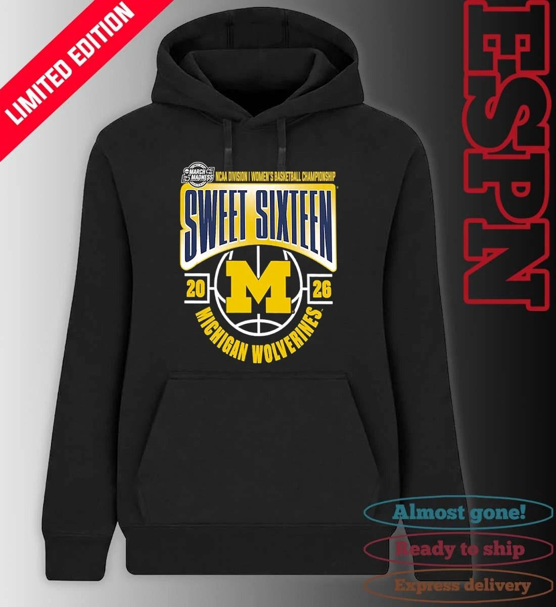 Official Michigan Wolverines Sweet 16 NCAA DI Women’s Basketball Tournament March Madness 2026 T-Shirt