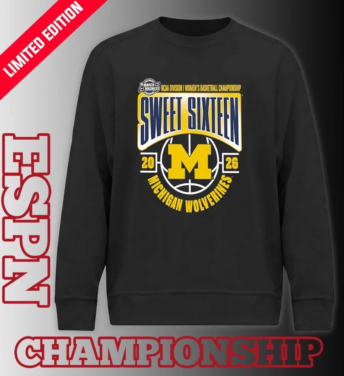 Official Michigan Wolverines Sweet 16 NCAA DI Women’s Basketball Tournament March Madness 2026 T-Shirt