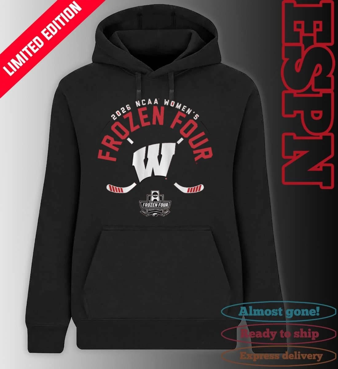Official Wisconsin Women’s Ice Hockey 2026 Frozen Four T-Shirt