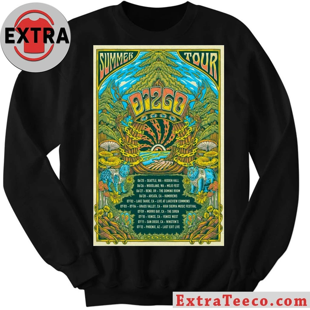 Original Dizgo Summer Tour 2026 Poster Shirt