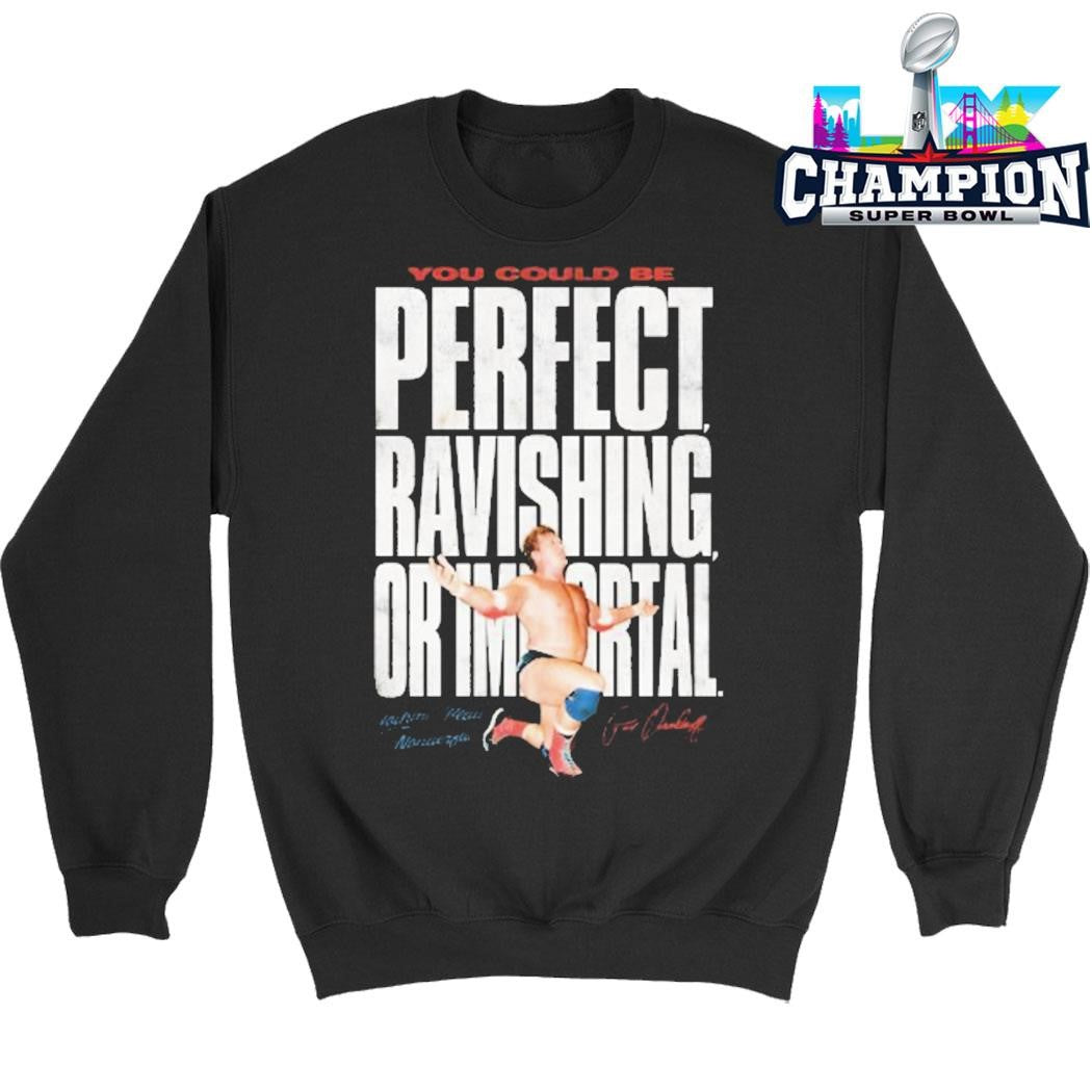 Paul Orndorff You Could Be Perfect Ravishing Or Importal Shirt