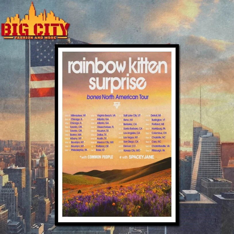 Premium Rainbow Kitten Surprise North American Show 2026 Poster shirt