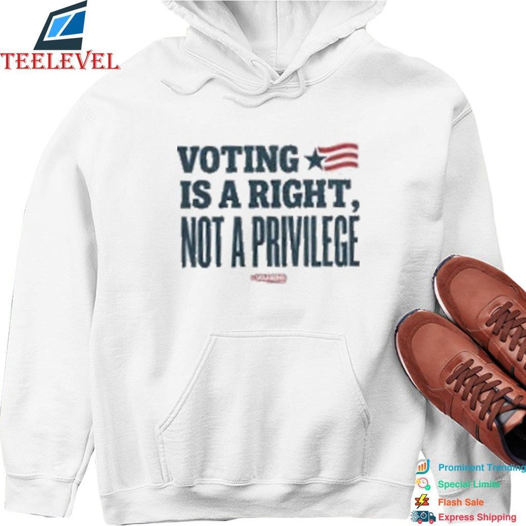 Steve Schmidt Voting Is A Right Not A Privilege T-shirts