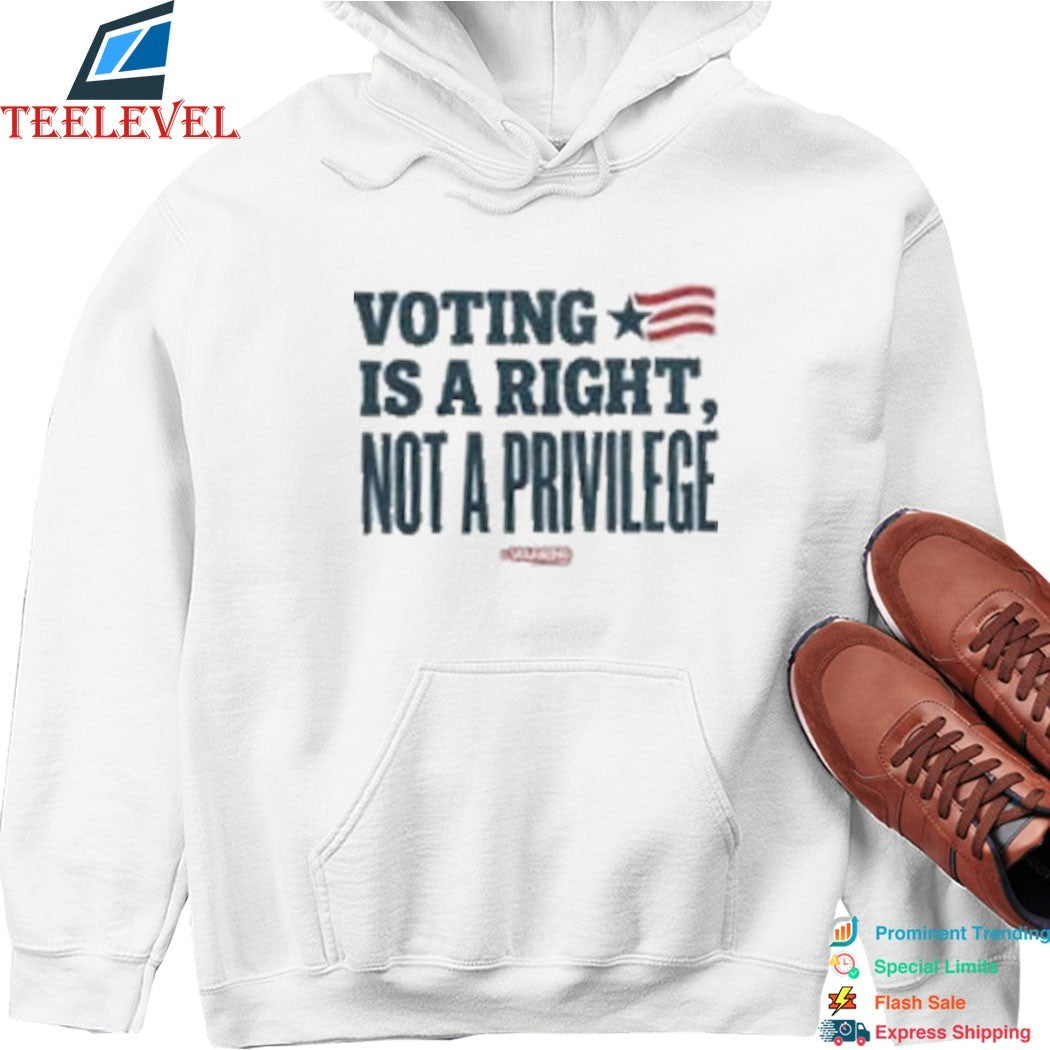 Steve Schmidt Voting Is A Right Not A Privilege T-shirts