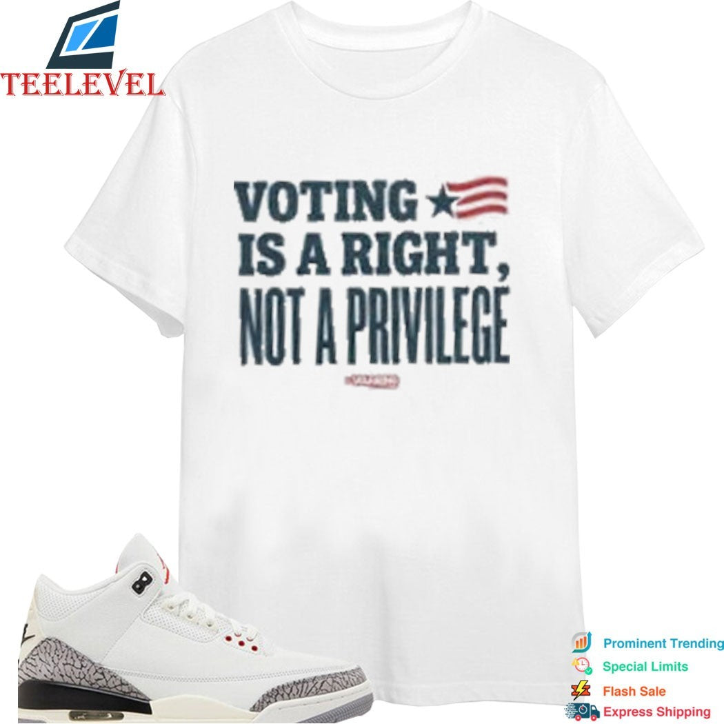 Steve Schmidt Voting Is A Right Not A Privilege T-shirts