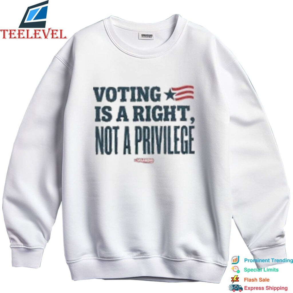 Steve Schmidt Voting Is A Right Not A Privilege T-shirts