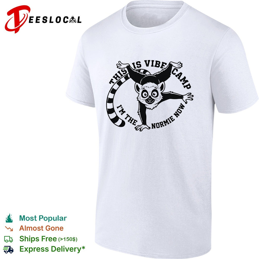 This is Vibe Camp I am the Normie Now shirt