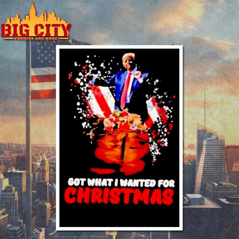 Trump Got What I Wanted For Christmas Stylish Shirt