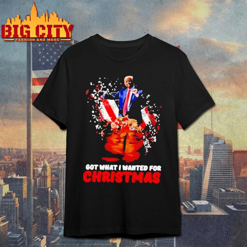 Trump Got What I Wanted For Christmas Stylish Shirt
