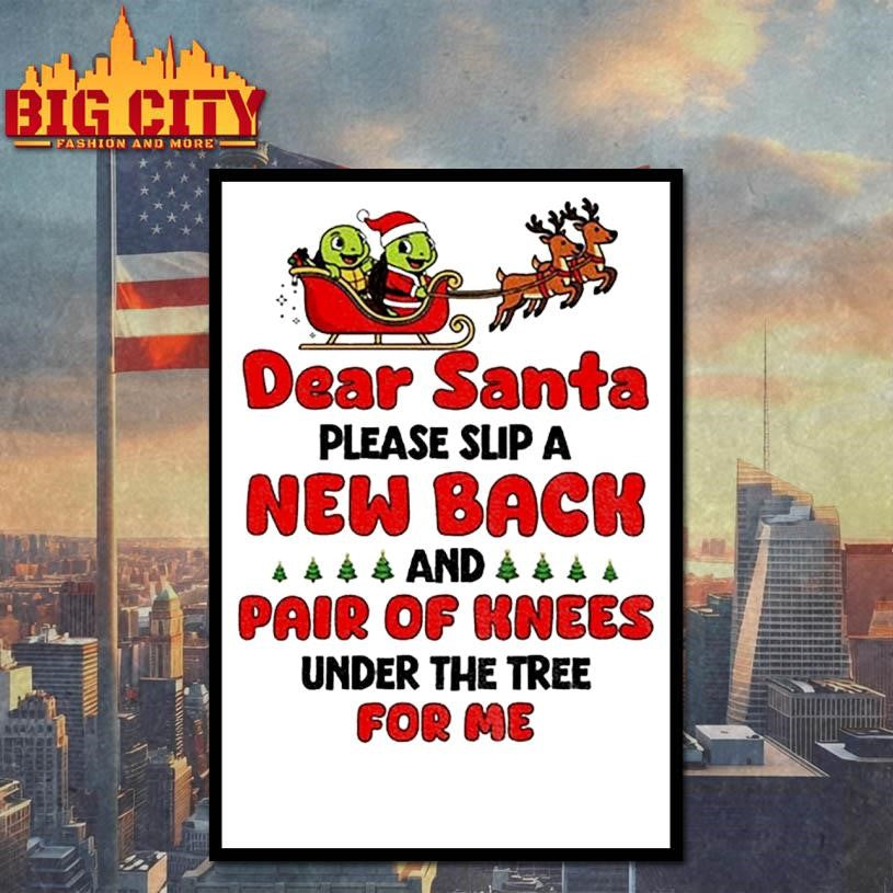 Turtle Santa Claus dear Santa please slip a new back and pair of knees under the tree for me Merry Christmas shirt