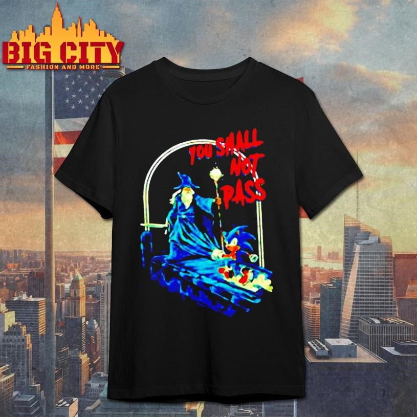 Wizard And Hedgehog You Shall Not Dash Retro Shirt