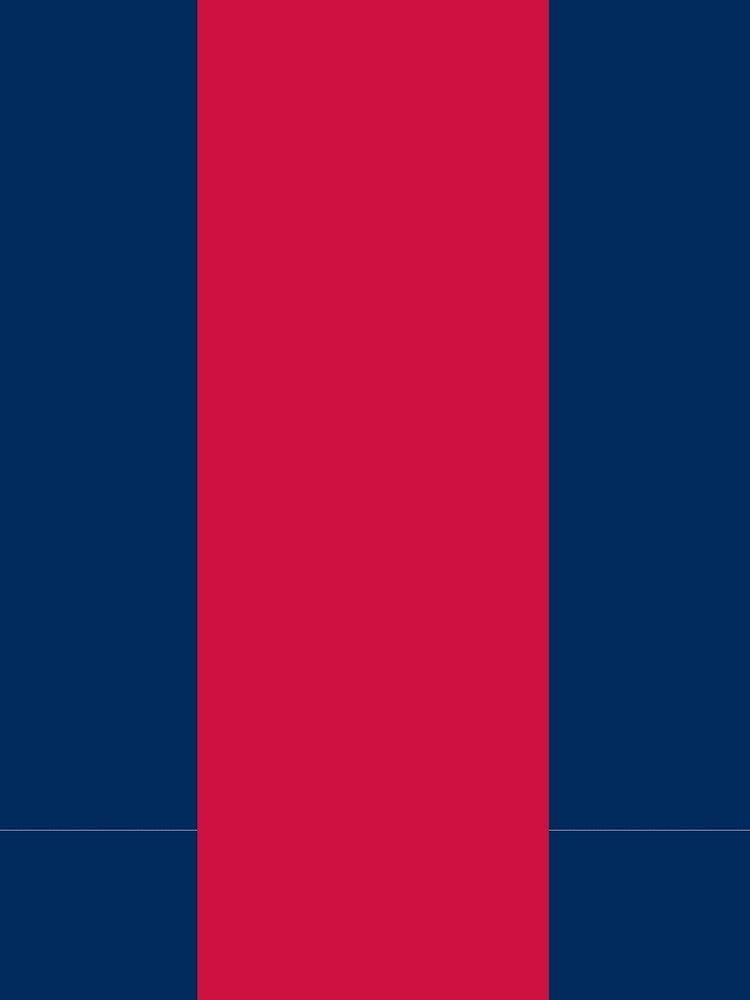 Blue and Red Vertically-Striped by PharrisArt