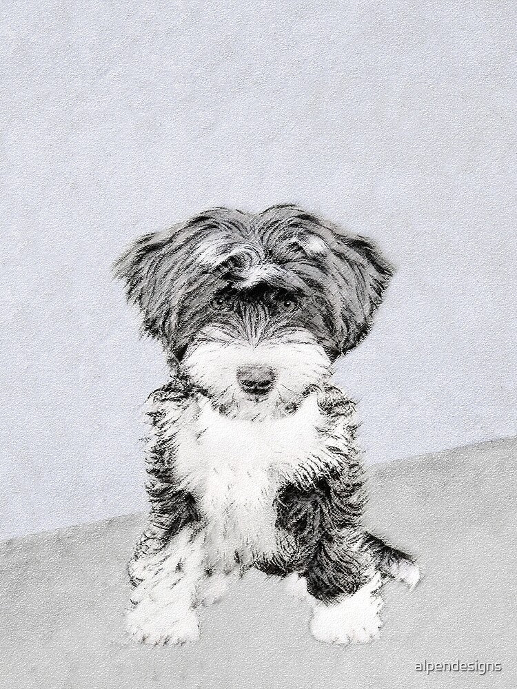 Tibetan Terrier by alpendesigns
