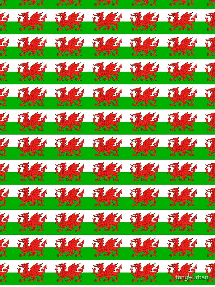 wales flag by tony4urban