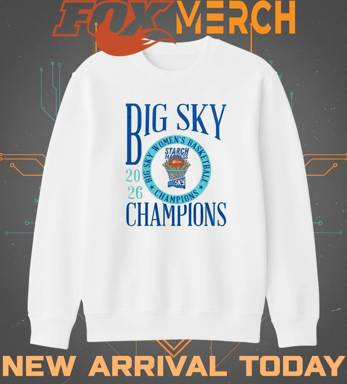Idaho Vandals Women’s Basketball Big Sky WBB Champions t-shirt