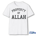 Official Property Of Allah 2026 t-shirt
