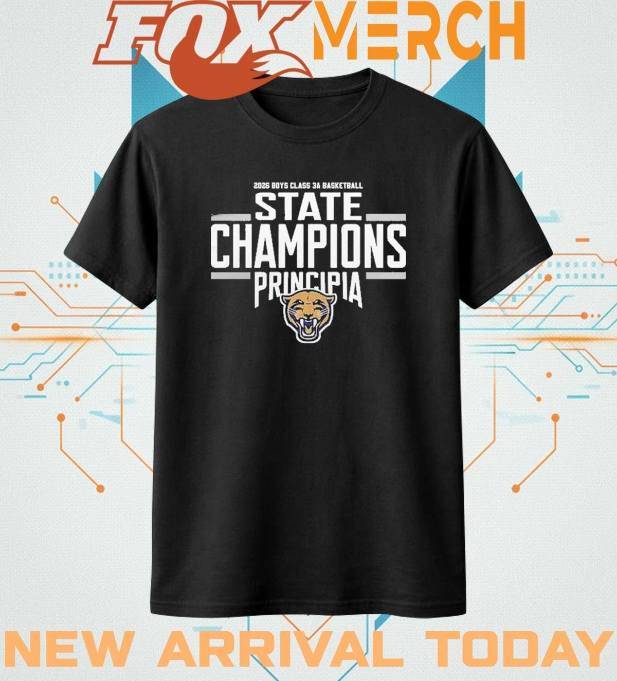 Principia Panthers Class 3 Boys State Champions 2026 t-shirt