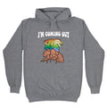Im Coming Out  Hoodie