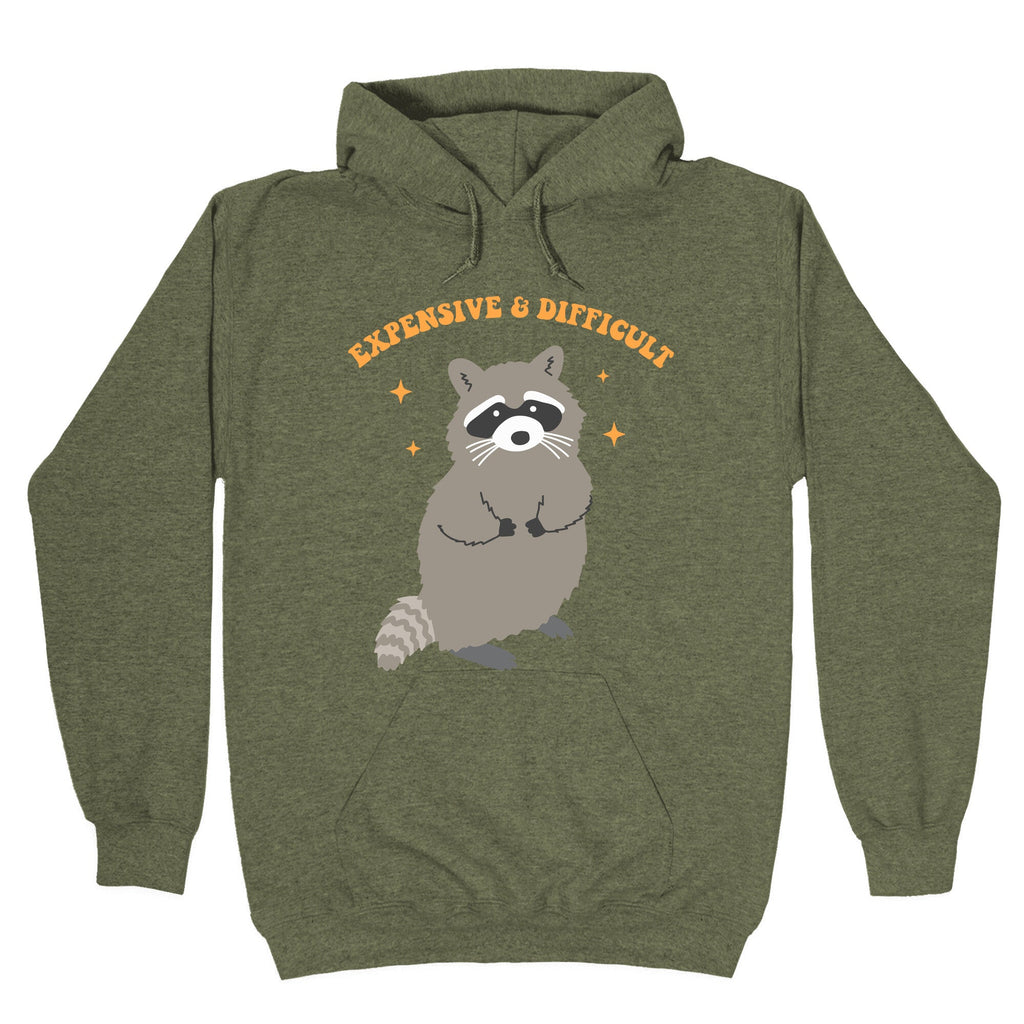 Expensive and Difficult Hoodie