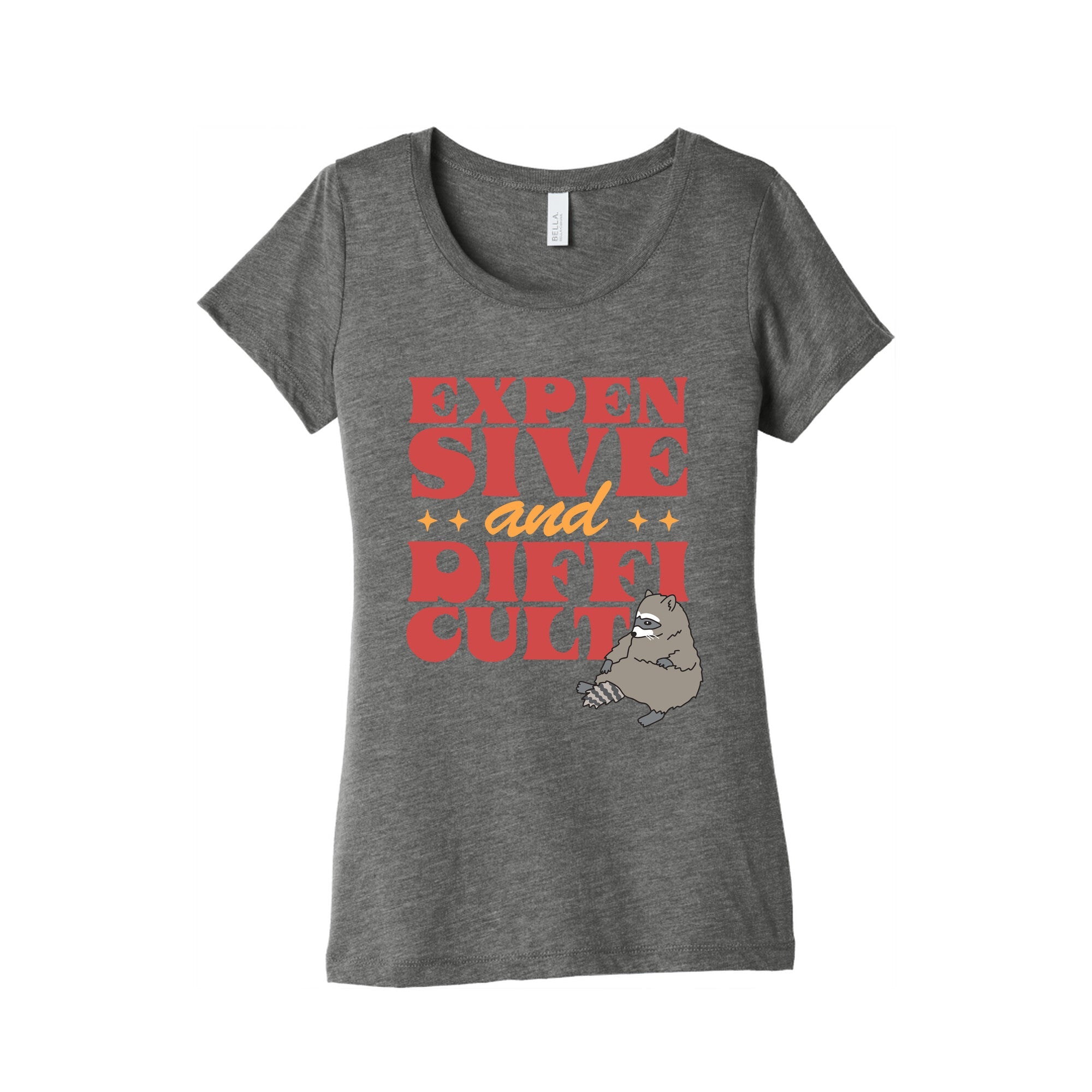 Raccoon Expensive and Difficult Womens Triblend Tee