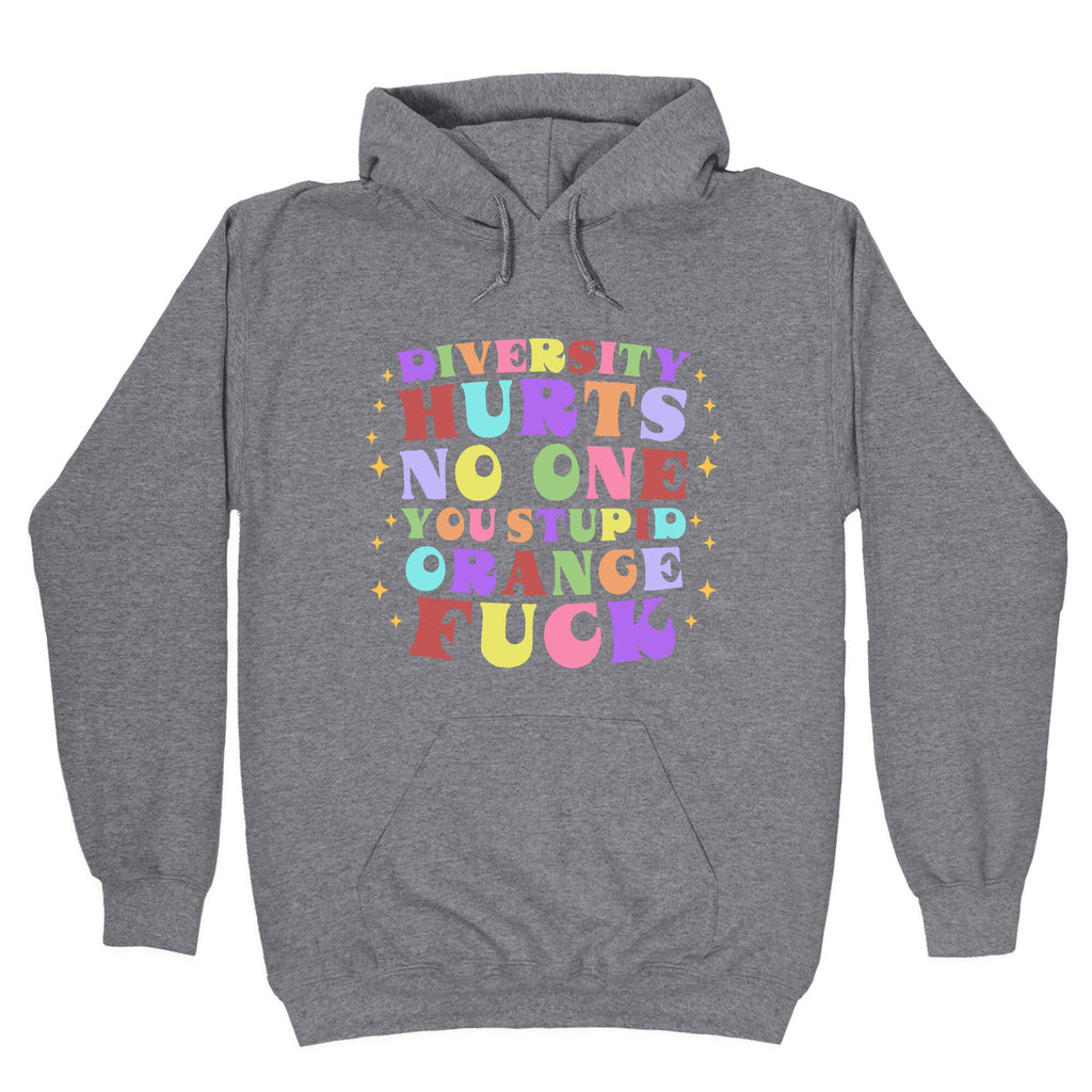 Diversity Hurts No One Hoodie