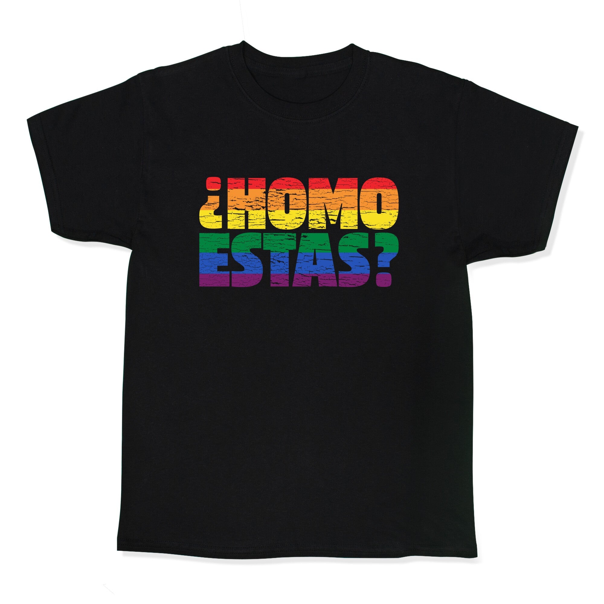 Homo Estas Kids Tee