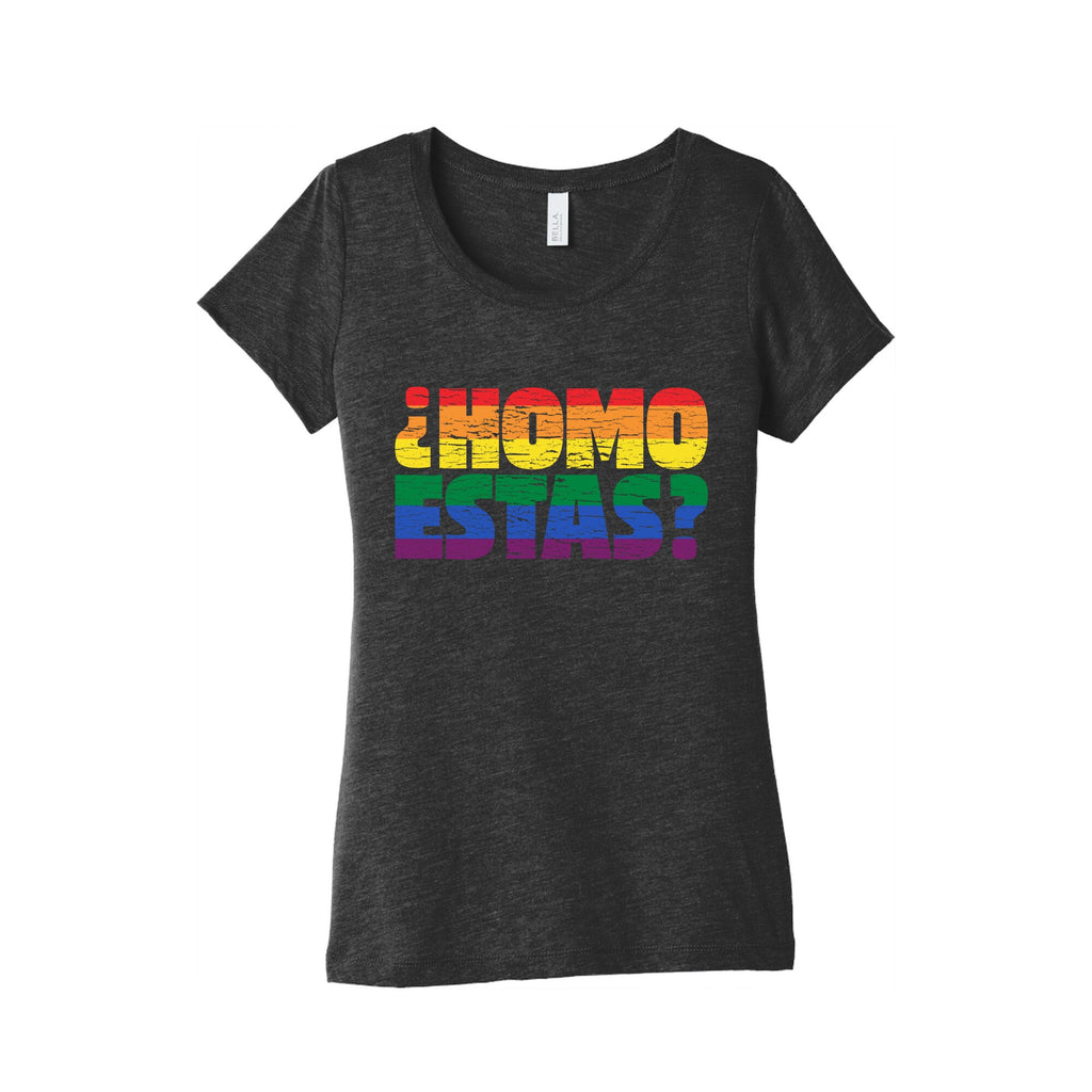 Homo Estas Womens Triblend Tee