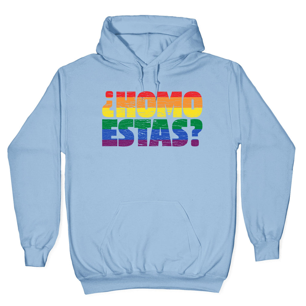 Homo Estas Hoodie