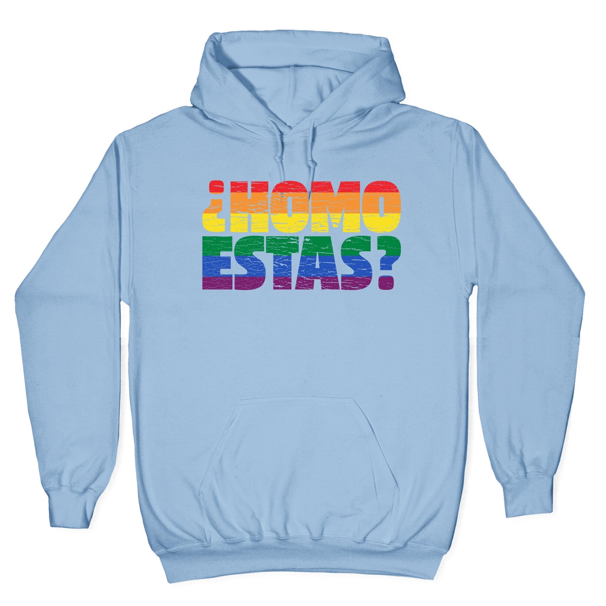 Homo Estas Hoodie