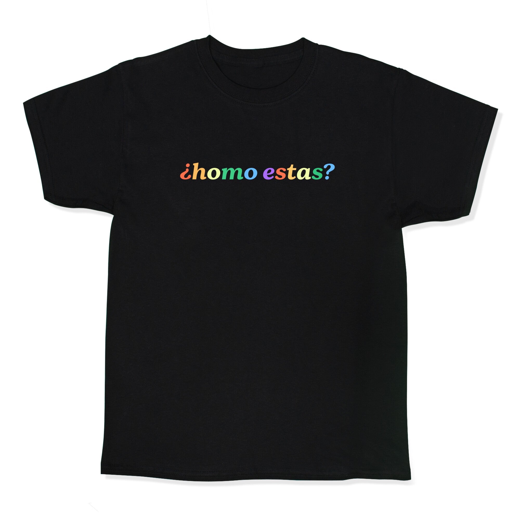 Homo Estas Rainbow Kids Tee