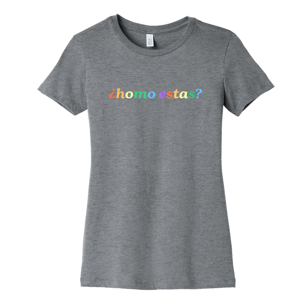Homo Estas Rainbow Womens Cotton Tee